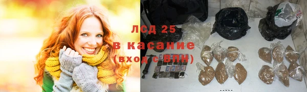 стафф Арсеньев