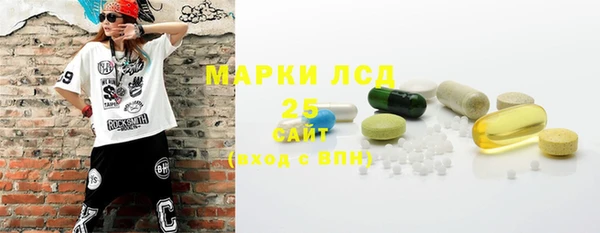 стафф Арсеньев