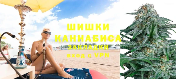 стафф Арсеньев