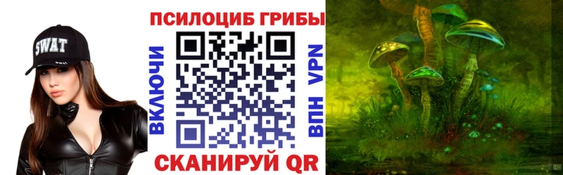 где можно купить наркотик  Гдов  kraken ТОР  Галлюциногенные грибы прущие грибы 
